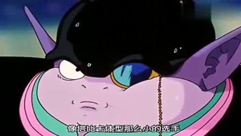 吃瓜娱乐小猫,小猫的吃瓜日常