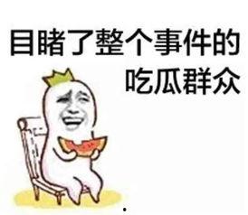 娱乐吃瓜君高情商,高情商的智慧与魅力