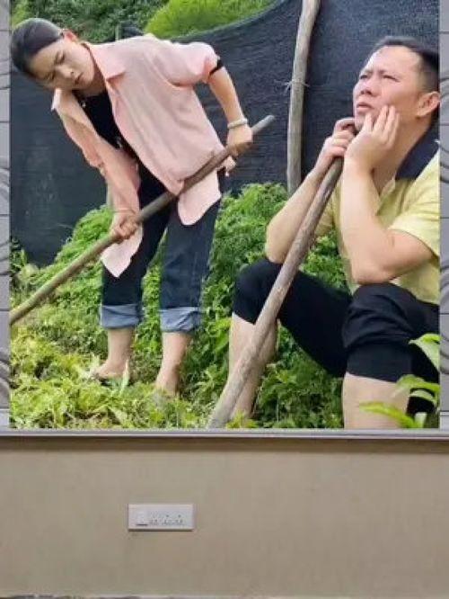 吃瓜群众娱乐八卦盘点,吃瓜群众视角下的热点事件盘点