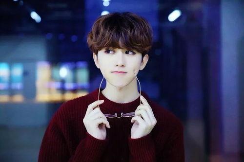 娱乐吃瓜君李宏毅,娱乐吃瓜界的风云人物