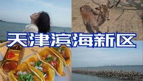 娱乐吃瓜酱自驾游,跟随吃瓜酱畅游天下