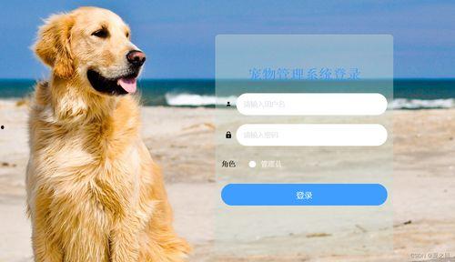 娱乐吃瓜酱宠物收养,宠物收养背后的娱乐吃瓜故事