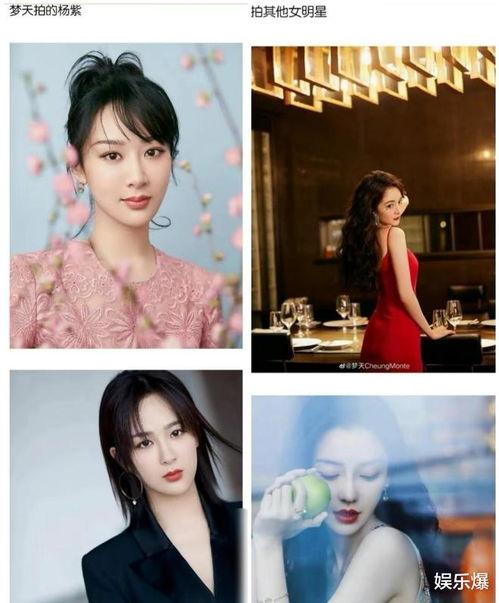 娱乐吃瓜摄影师,吃瓜摄影师背后的故事