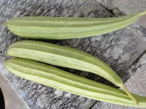 专业娱乐吃瓜,揭秘明星幕后那些事儿